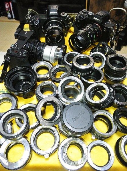 ニコン Nikon 1 V1 ダブルズームキット [ホワイト]で撮影された写真