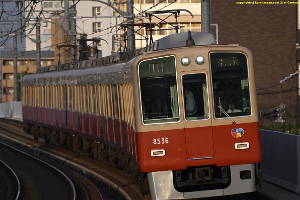 ニコン AF-S VR Zoom-Nikkor 70-300mm f/4.5-5.6G IF-EDで撮影された