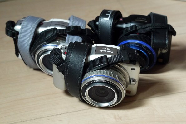 パナソニック LUMIX DMC-GF5X 電動ズームレンズキットで撮影された写真